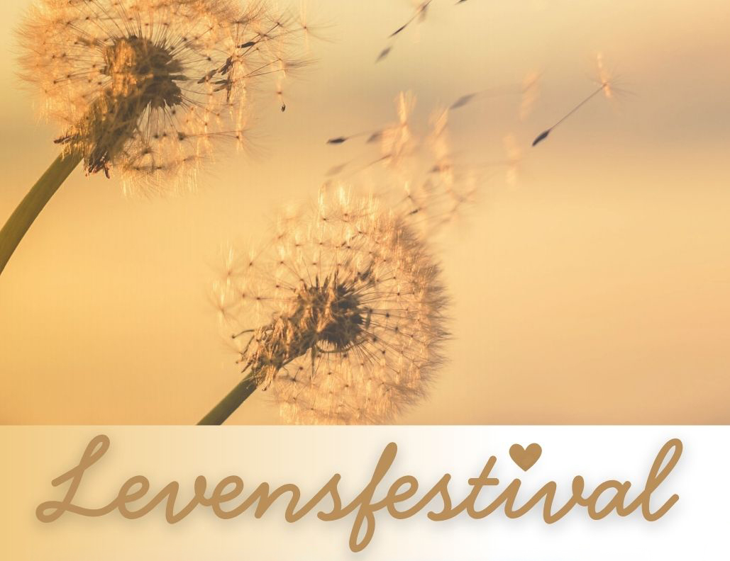 Levensfestival_kl