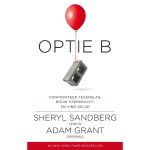 Sheryl Sandberg, Optie B