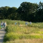 Zomeravondwandeling